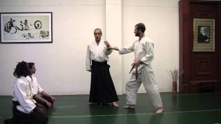 Aikido in Three Easy Lessons in 11 minutes [upl. by Anotal]