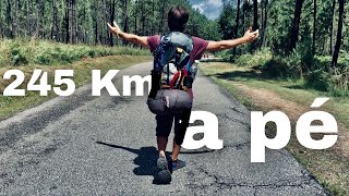 245 Km on Foot  Camino de Santiago de Compostela Documentary [upl. by Lacim]