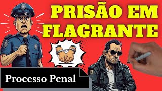 Prisão em Flagrante Processo Penal Resumo Completo [upl. by Coussoule]