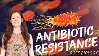 ANTIBIOTIC RESISTANCE GCSE Biology 91  Combined Sci Revision amp Qs [upl. by Nilo]