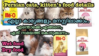 Persian cat foods details  malayalam [upl. by Hoyt]