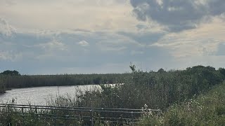 Fishing in Everglades Ft Lauderdale fishing channel is live [upl. by Iong]