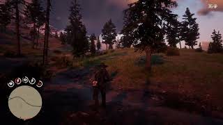 Rdr2  Weapons Expert 9  Hanging Dog Ranch [upl. by Adnam]