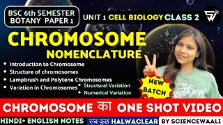 Chromosome Structure amp Function  Chromosomal Nomenclature BSc 6th semester Paper 1 Unit 1 🔥 [upl. by Henrik]