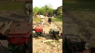 DIESEL ENGINE START WITH TWO MAN NEW EXPERIMENT 😜experiment shorts trending viralvideo [upl. by Elane]