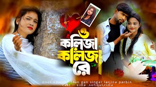 ও কলিজা কলিজা রে  o kolija kolija re  larjina parbin  o kolija kolija re gaan  ns music company [upl. by Kolosick816]