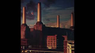 Pink Floyd  Animals Animated Cover Art [upl. by Teillo]