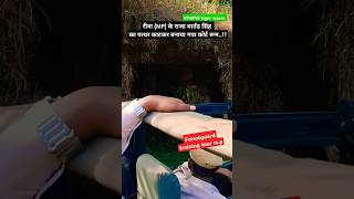 बांधवगढ बाघ अभ्यारण्य mp shorts forestgaurd training tour motivation youtube video ytshorts [upl. by Ahsitak]