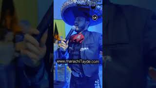 El REY  Mariachi Juvenil TAYDE [upl. by Margot]