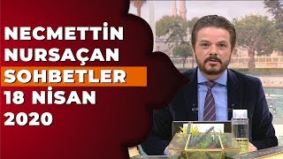 Necmettin Nursaçanla Sohbetler  18 Nisan 2020 [upl. by Ainimre]