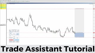 How to Use Trade Assistant for MT4MT5  FULL GUIDE  Metatrader Trade Management Tool [upl. by Akyssej]