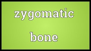 Zygomatic bone Meaning [upl. by Stephie354]