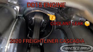 2020 FREIGHTLINER CASCADIA DD15 ENGINE WITH A DAMAGE ENGINE BROKEN CYLINDER LINER WATER IN OIL [upl. by Sherborne]