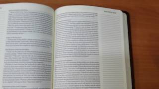 Crossways ESV Single Column Journaling Bible Large Print Stealth Review [upl. by Sherborne]