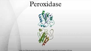 Peroxidase [upl. by Nihhi]