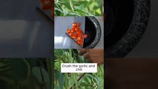 Chili and garlic can treat pests garden gardening plants [upl. by Drahsar]