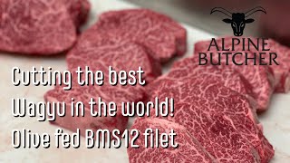 Breaking down an Olive Fed Wagyu Tenderloin start to finish A5 BMS12 at Alpine Butcher [upl. by Okemak737]