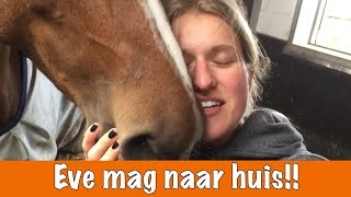 YESSSS Eve mag naar huis  Winnaars winacties  PaardenpraatTV [upl. by Nisen]