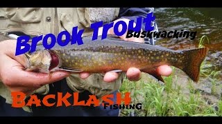 New Brunswick Brook Trout Fishing [upl. by Eaned764]