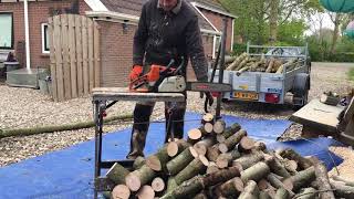 Supersnel stammen zagen met kettingzaag  very fast chainsaw sawing of thin tree trunks [upl. by Nosyt]