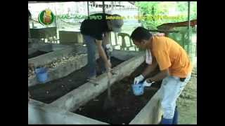 Demo on Vermicomposting amp Vermiculture courtesy of Dr Ed Lalas DAQAES [upl. by Leifeste]