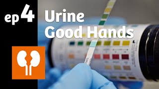 Ep 4 Urine it’s like a clinical compass [upl. by Voltz974]