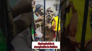 Aerophobia fear of air and Hydrophobia fear of water in Rabies patient  rabies hydrophobia [upl. by Antipas304]