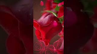 Pinneyum pinneyum aaro kinavinte whatsapp status [upl. by Affay110]