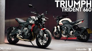 2024 Triumph Trident 660 The New King of Roadsters  Fun Agile and Affordable [upl. by Jeff]