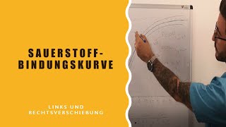 Sauerstoffbindungskurve Links und Rechsverschiebung [upl. by Eahs224]