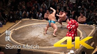 Sumo Match  Tokyo  相撲 [upl. by Deroo]