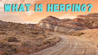 What is herping [upl. by Anhpad]