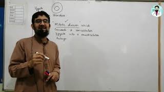 Introduction of Development  Types of Cleavage  Hindi  Urdu [upl. by Inaniel844]