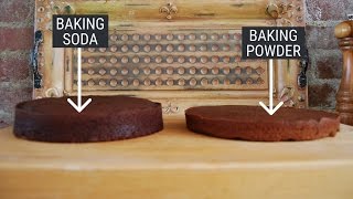 Heres the difference between baking powder and baking soda — and how to substitute one for another [upl. by Esorrebma]