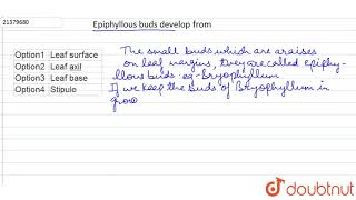 Epiphyllous buds develop from [upl. by Eehc720]