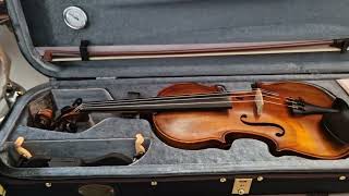 Stentor Verona  Violin  Fiddle Fiol [upl. by Harneen458]