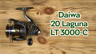 Розпаковка Daiwa 20 Laguna LT 3000C [upl. by Dougal650]