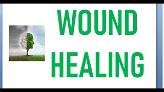 Surgery 012 Wound Healing steps phase process inflammatory proliferative remodeling injury stage [upl. by Cypro]