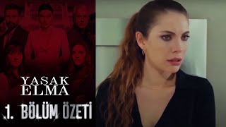 Yasak Elma 1 Bölüm Özeti [upl. by Edge]