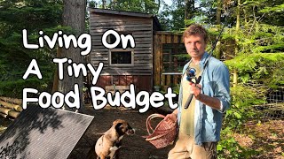 Saving Money With Self Sufficiency  My 3 Strategies for Low Cost Living On A Tiny Food Budget 💰🥦🍗 [upl. by Aroon524]