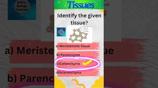 Collenchyma  Plant tissues  Tissues  Class 9 Science  shorts [upl. by Anesusa42]