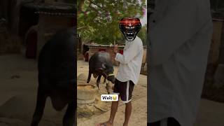 Hila dala na😂 short trending viral funny funnycomedy foryou [upl. by Pine]