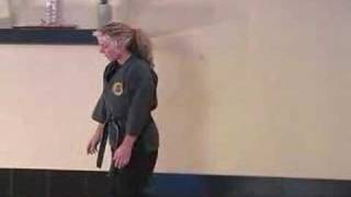 Bujinkan Power of Presence  Foundation Rolling and Falling [upl. by Alioz]