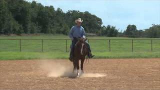 smartly dueling two year old colt [upl. by Ecnirp871]