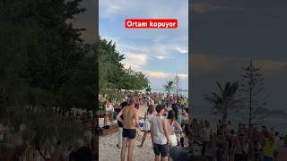 Koh Phangan Zen Beach ortamları thailand travel shortvideo [upl. by Alyakim301]