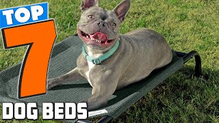 7 Best Dog Beds Comfort and Style for Every Dog [upl. by Noni]