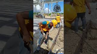 Advanced Termite Reticulation System by Techno Pest Control Cebu  Ultimate Home Protection [upl. by Spancake]