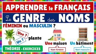 Le genre des noms  Féminin ou masculin  Français [upl. by Solenne358]