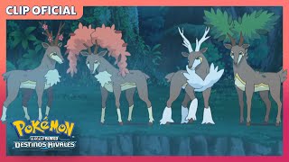 ¡En busca de Sawsbuck  Pokémon Negro y Blanco Destinos Rivales  Clip oficial [upl. by Eerrahs174]