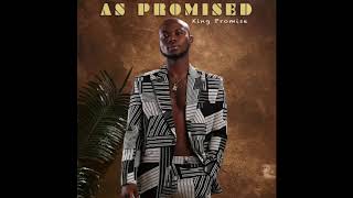 King Promise  Hangover Feat Omar Sterling Audio Slide [upl. by Weibel]